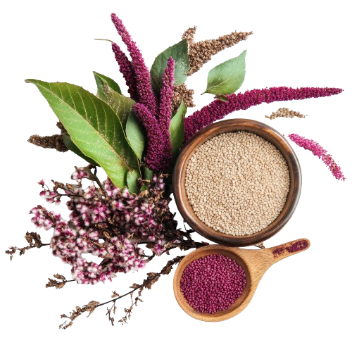 Amaranth