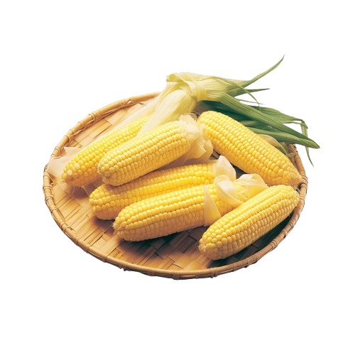 Baby corn