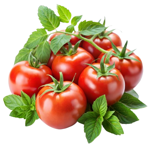 Tomatoes
