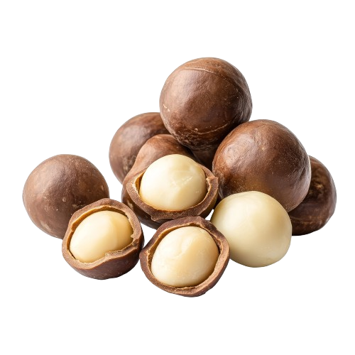 Macadamia nuts